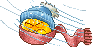 insect
